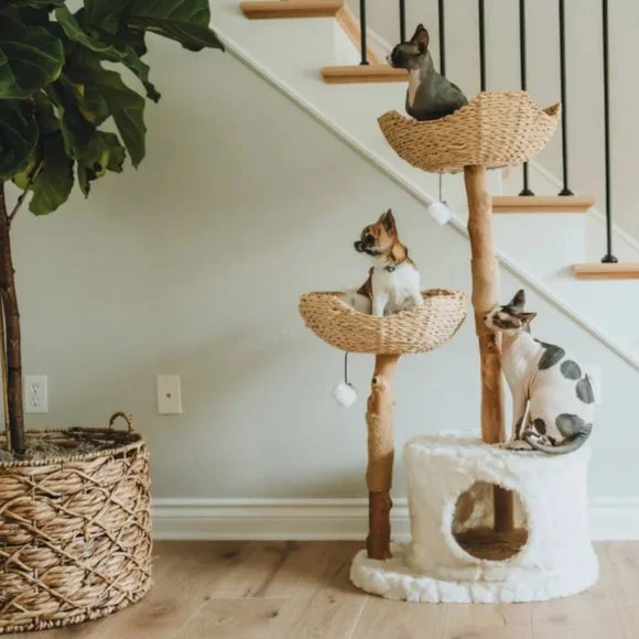 Custom Real Wood Cat Tree - Picture 3 of 10
